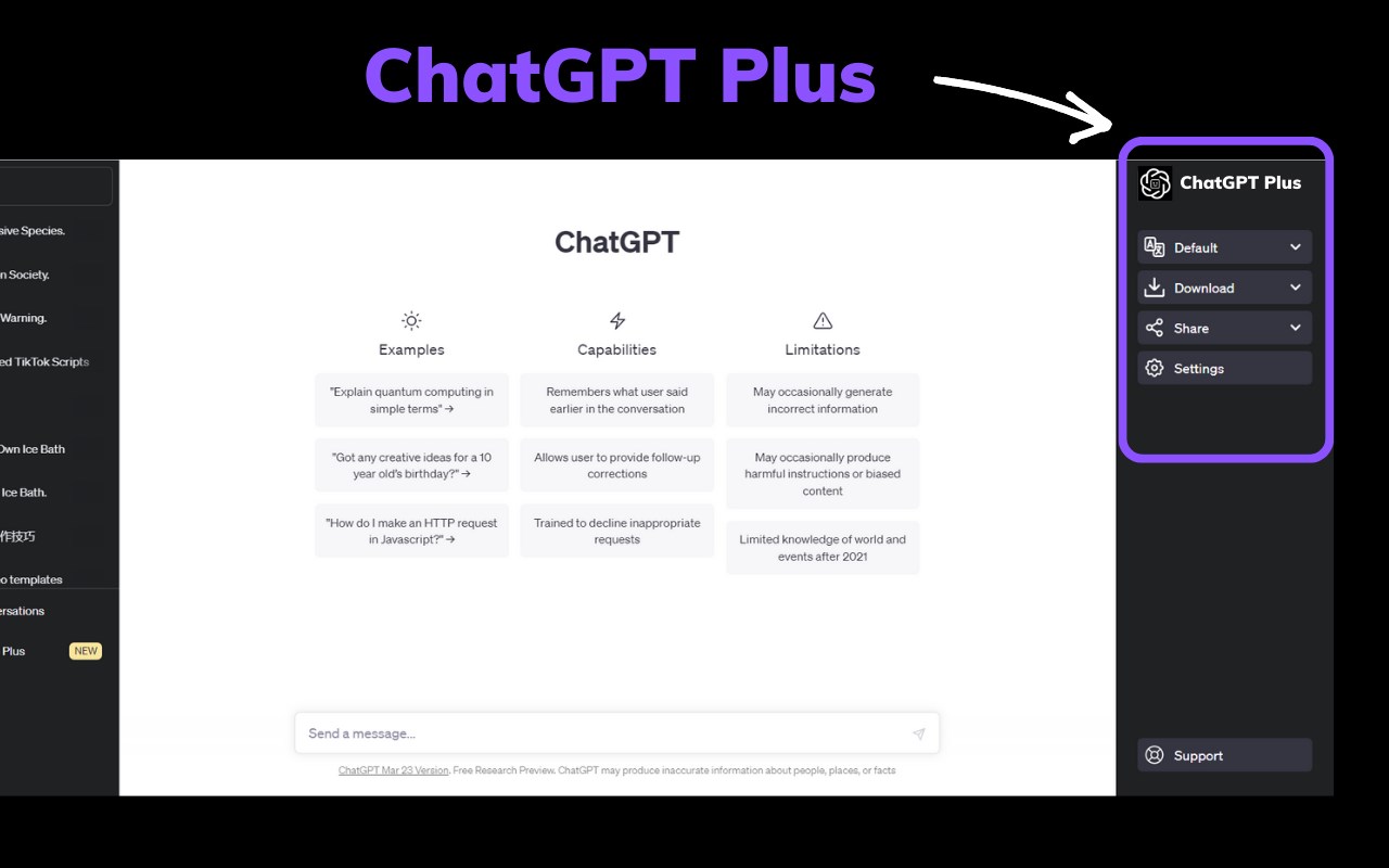 Chatai Plus   Batch Export GPT Conversations