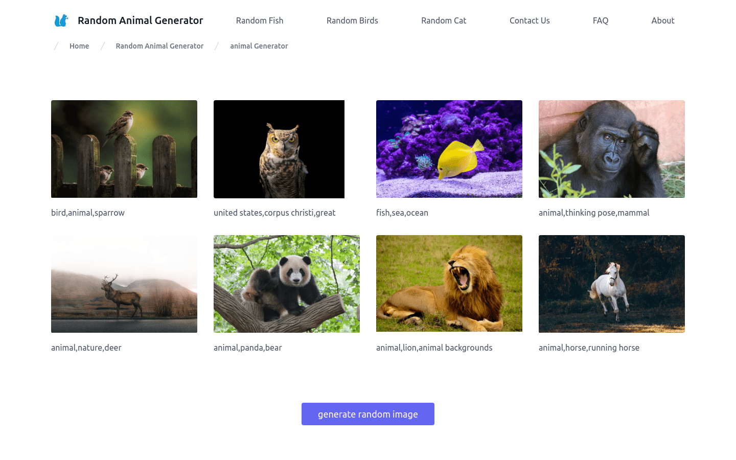 Random Animal Generator