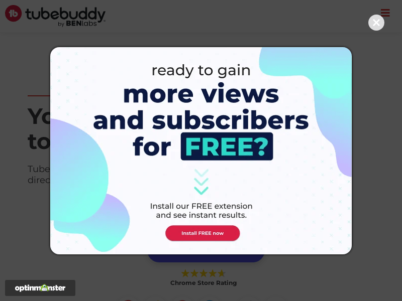 Tubebuddy