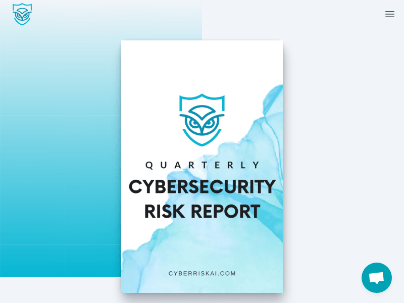 Cyberriskai
