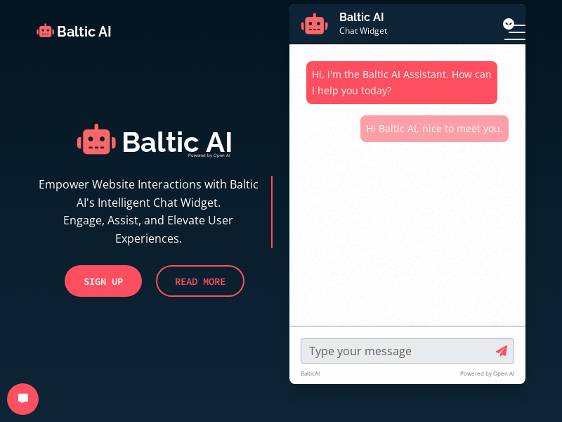 Baltic AI