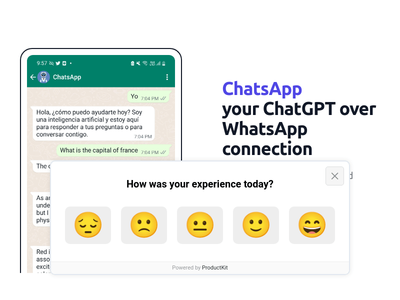 Chatsapp