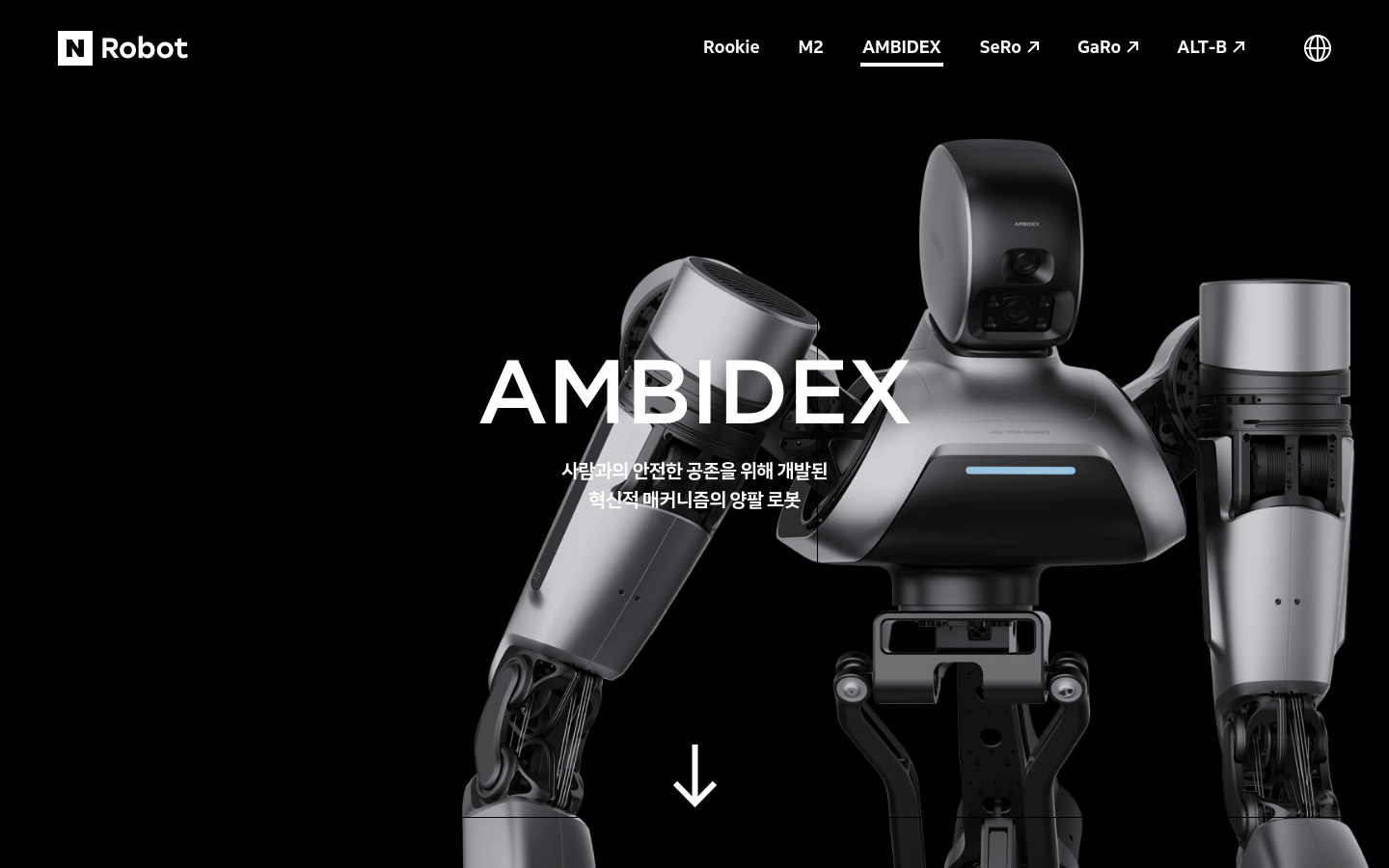 AMBIDEX