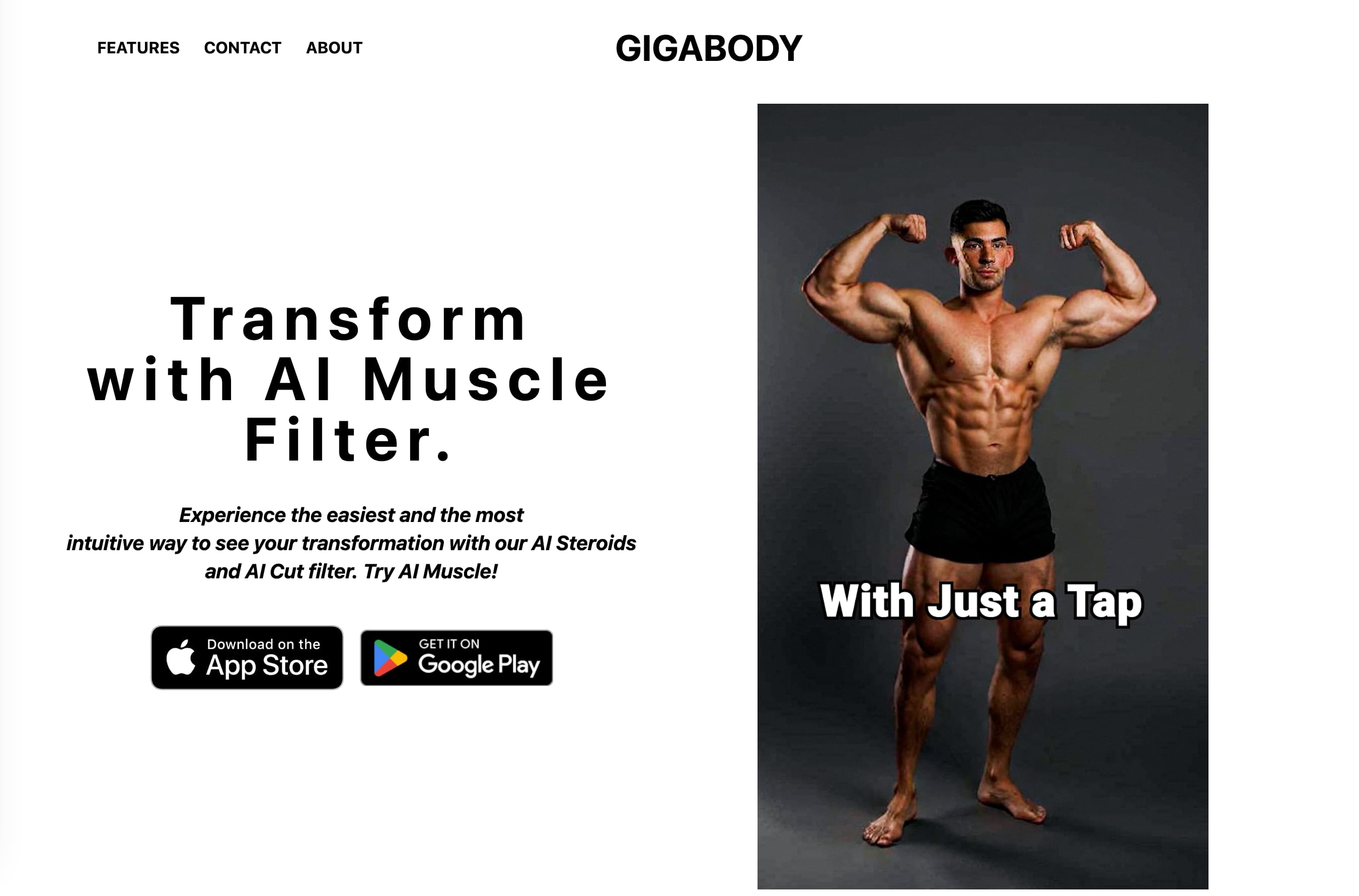 Gigabody