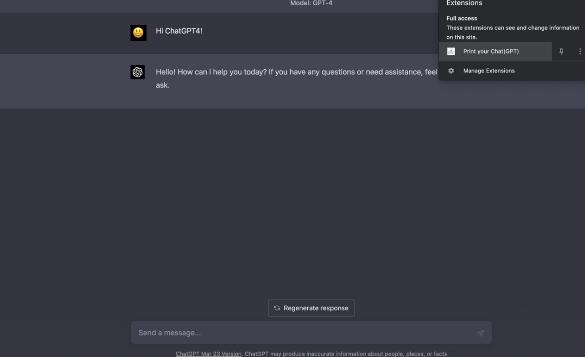 Print Your Chat(GPT)