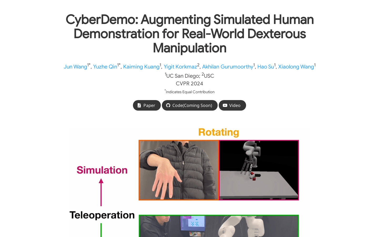 Cyberdemo