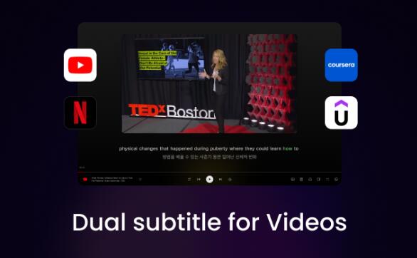 Youtube AI Subtitle And Web Translator