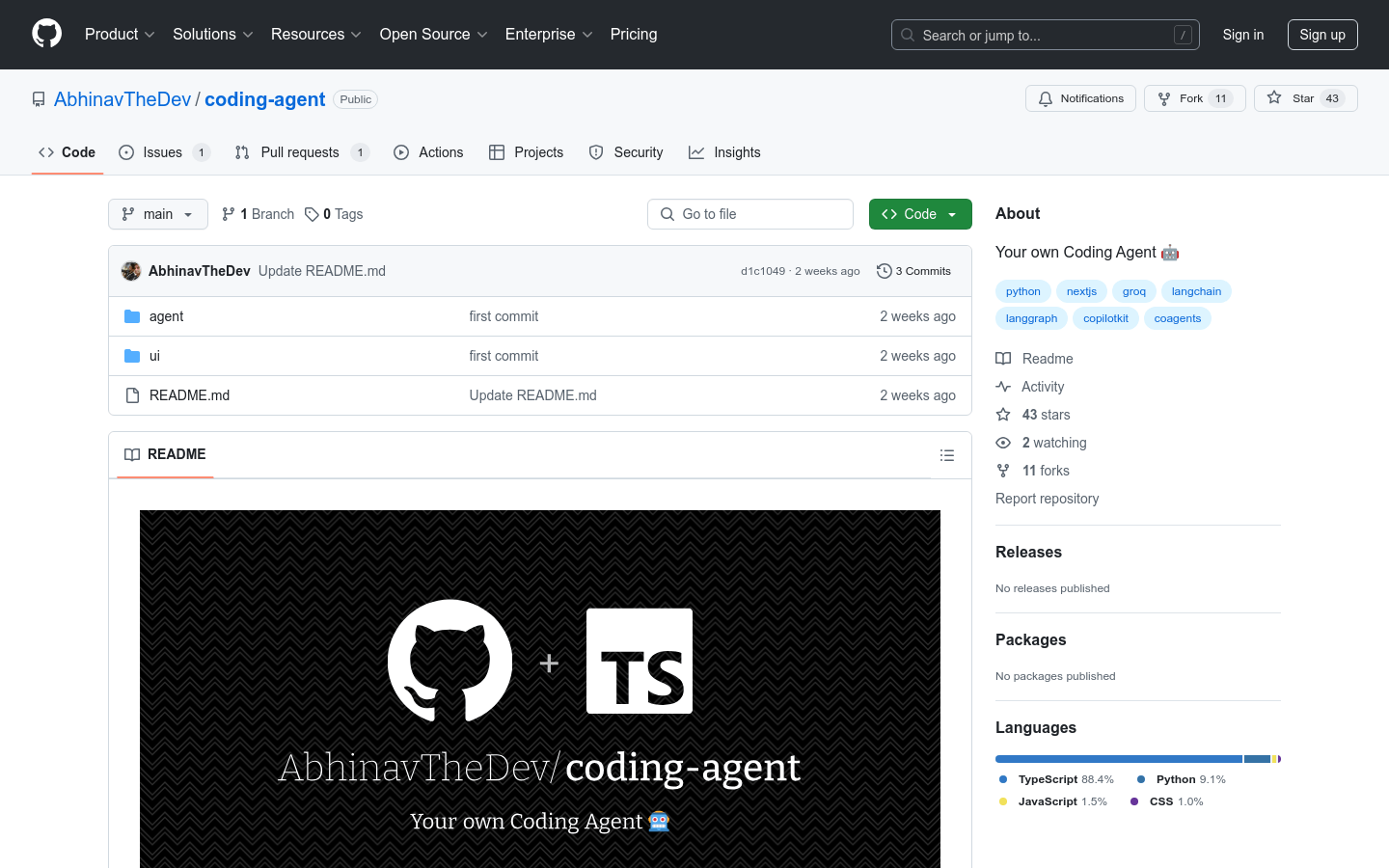 Coding Agent