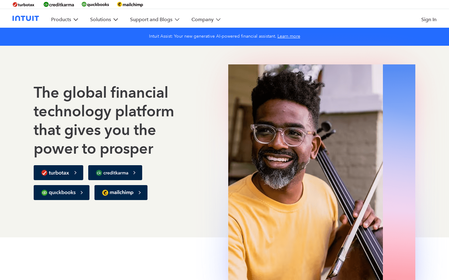 Intuit Assist