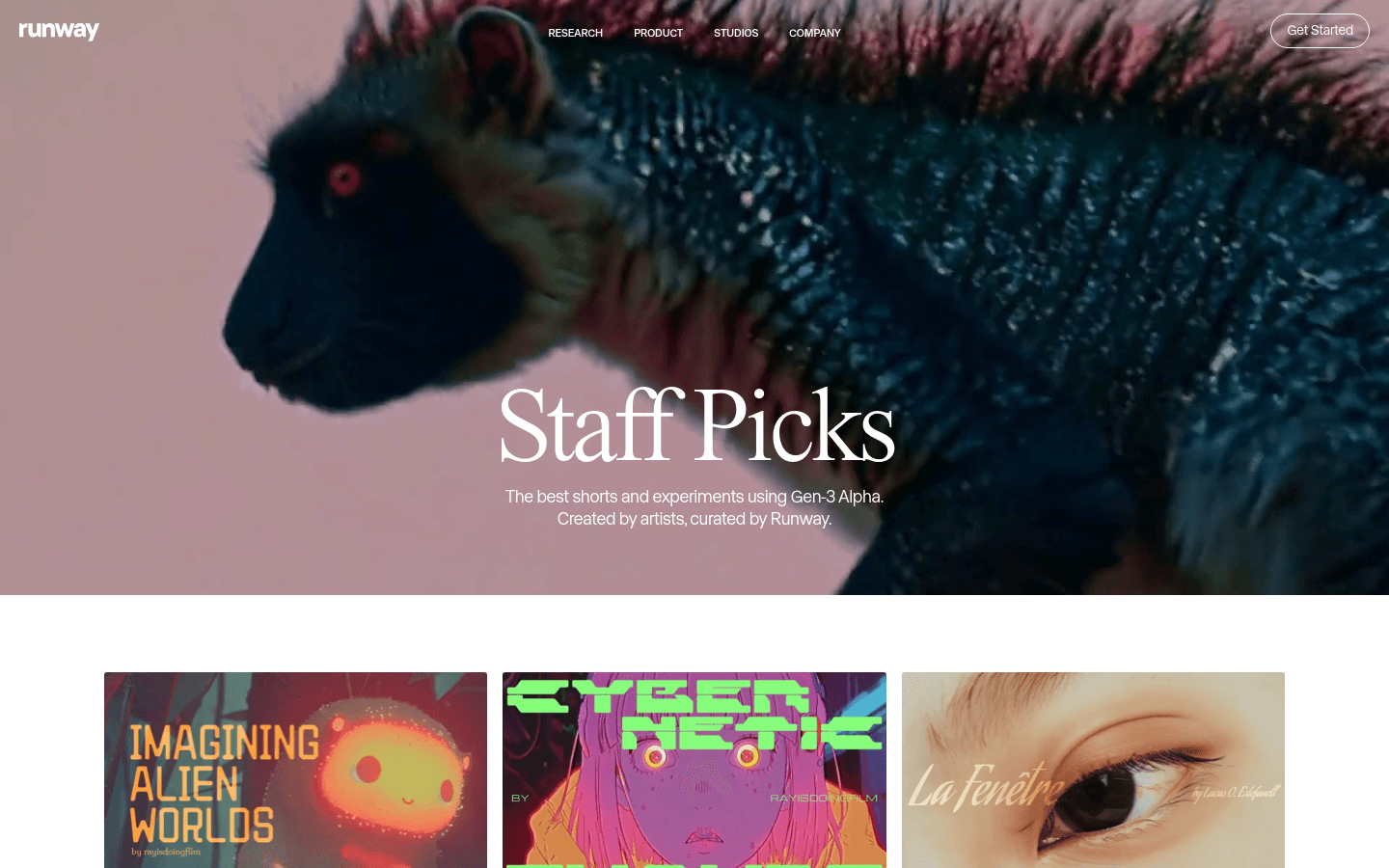 Runway Staff Picks