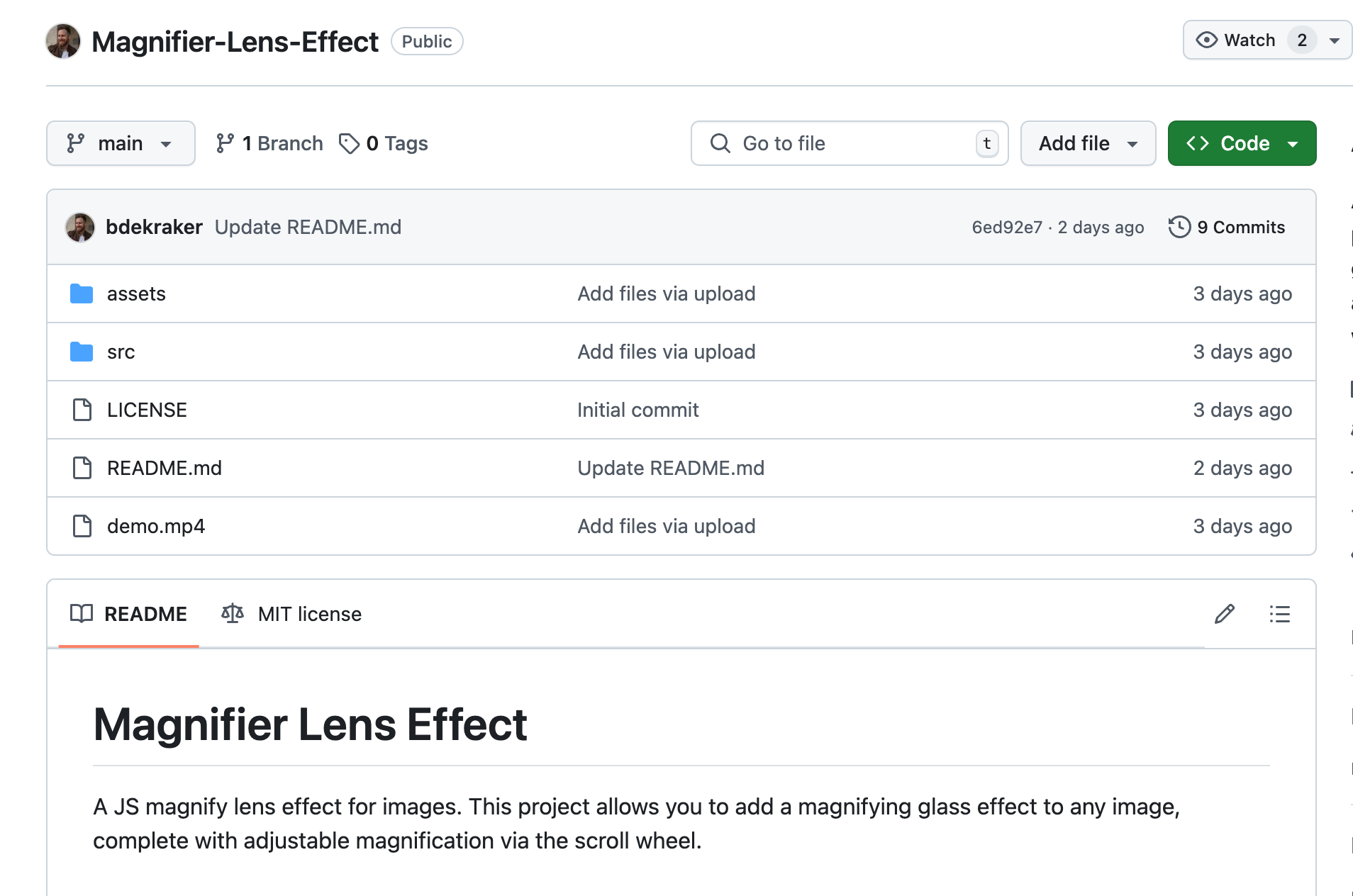 Magnifier Lens Effect