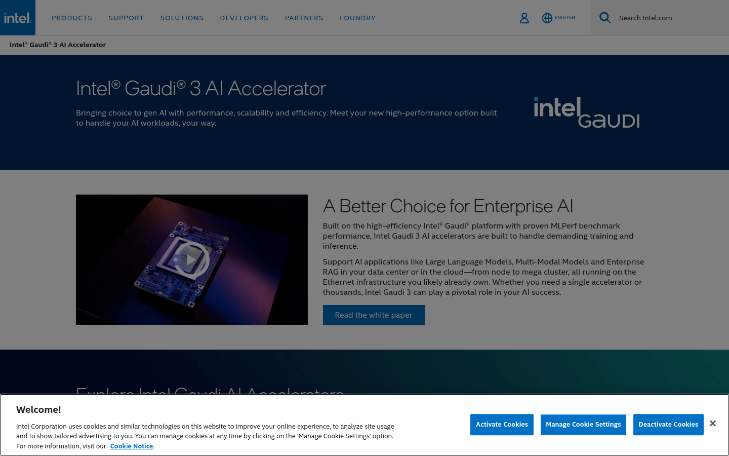 Intel Gaudi 3 AI Accelerator
