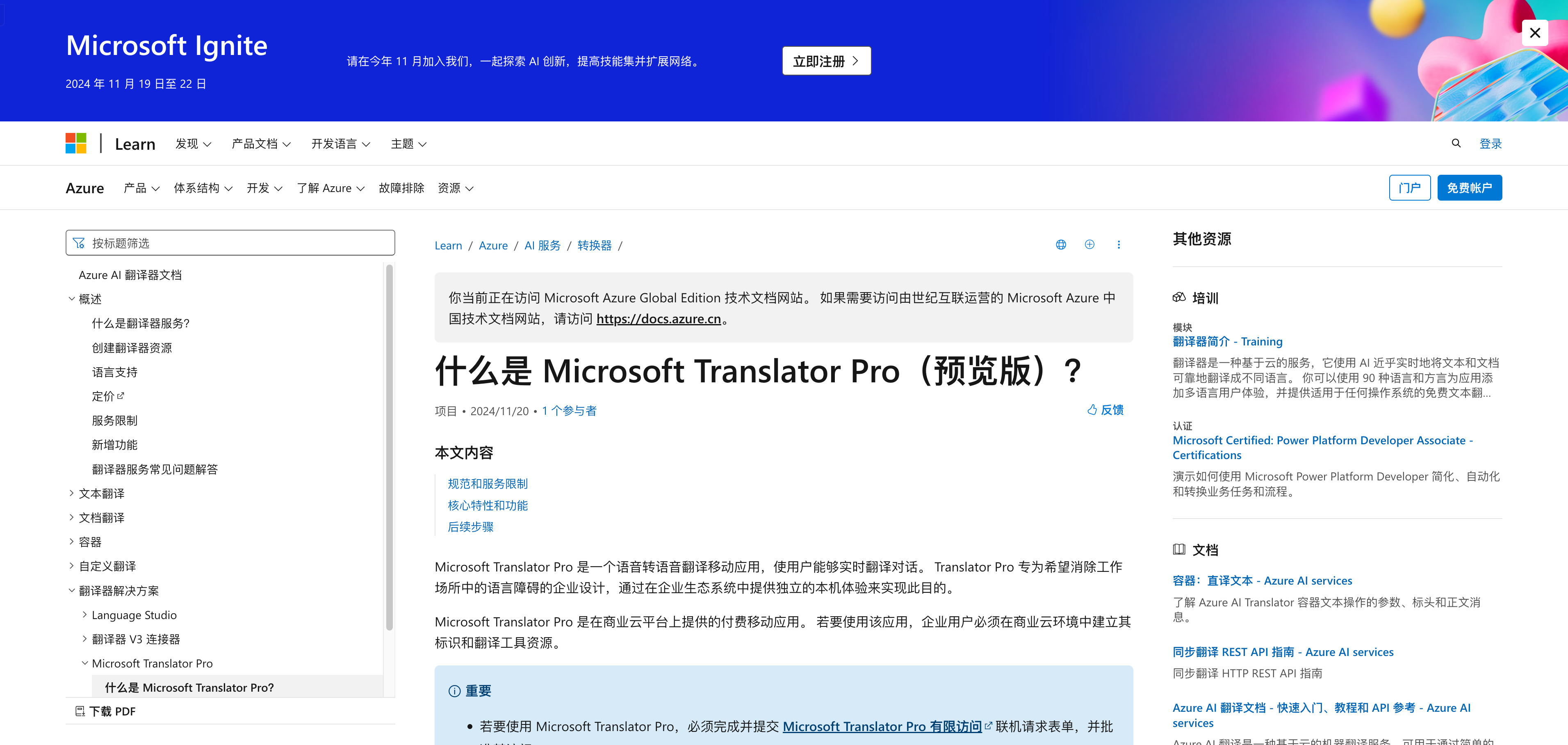 Microsoft Translator Pro