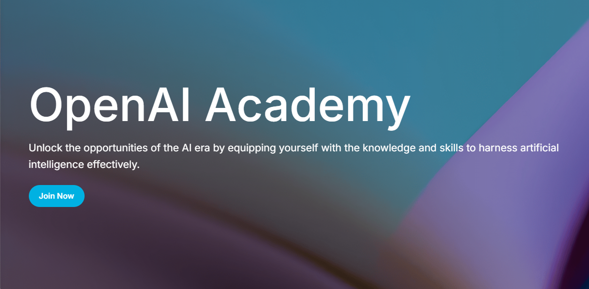 Openai Academy