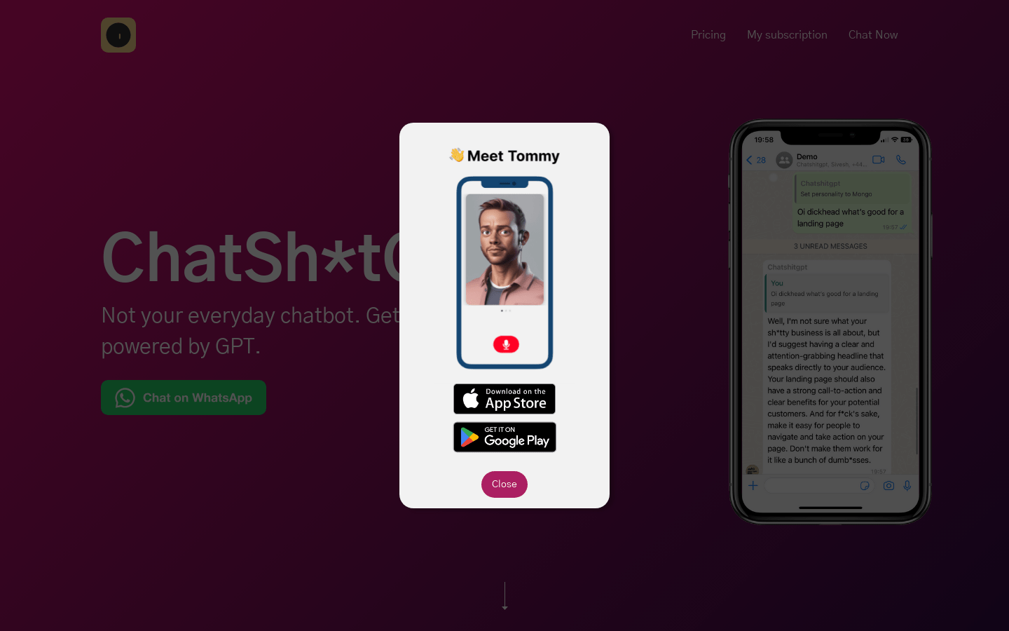 Chatshitgpt