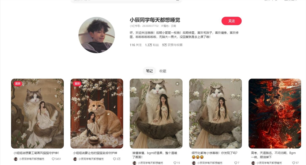 有人靠它月入10W+？挑战用coze图像流制作宠物AI写真“猫猫守护神”（附详细操作教程）