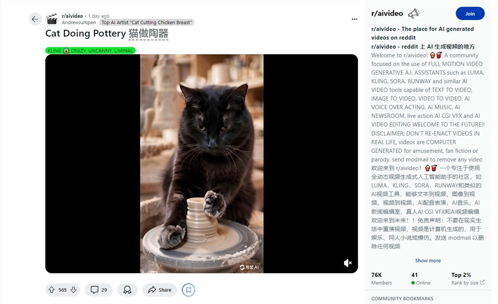 猫咪成精了！猫猫做陶艺视频在Reddit火了 附可灵详细操作教程