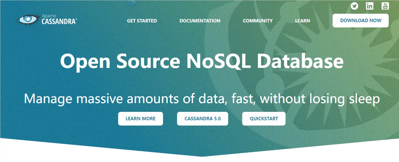Apache Cassandra 5.0 重磅发布：引入新索引和 AI 能力