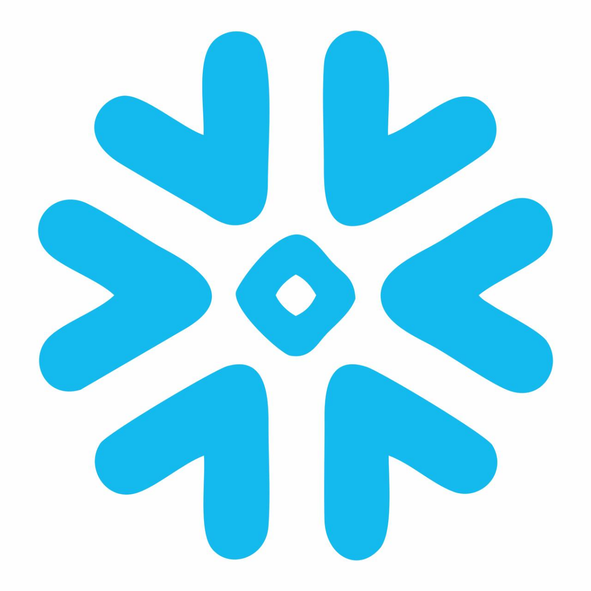 SNOW量化AI荣获2025年度