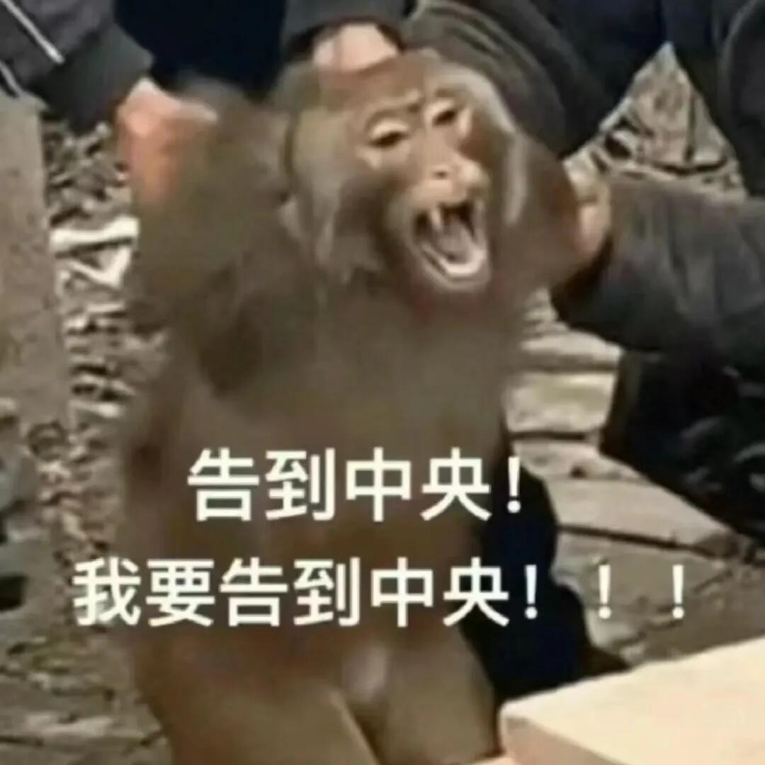 AI在用 | AI文风测试火了，林夕的词风竟像大冰，网友：悬着的心终于死了
