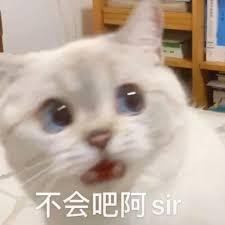 Hinton万万没想到，前女友用ChatGPT跟他闹分手