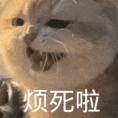 只要 3999 ？啥家务都能干，这机器人终于等到了
