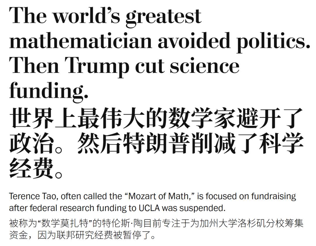 缺钱但不缺洞见：陶哲轩揭秘AI如何吞噬数学项目的灵魂